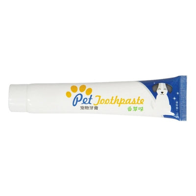 Tooth Back Up Brush Care